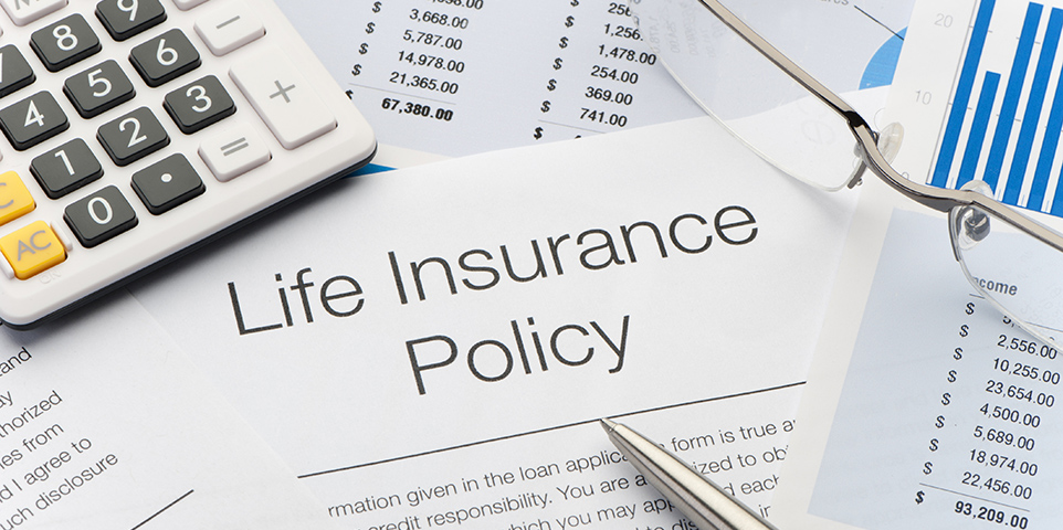 What are the principal types of life insurance?